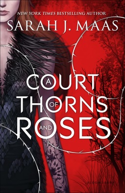 a-court-of-thorns-and-roes